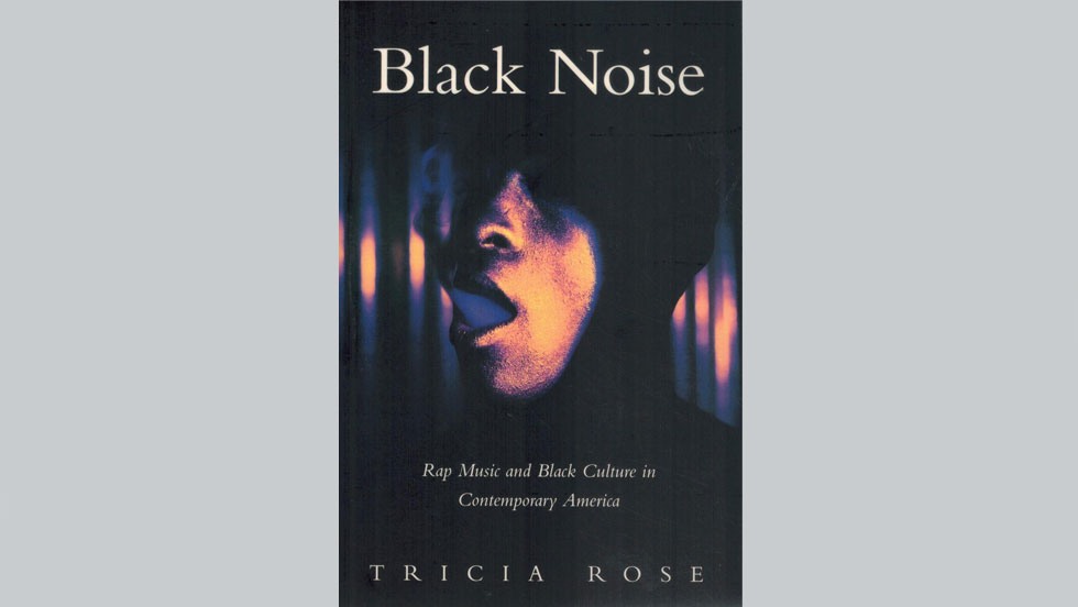 Black Noise book cover