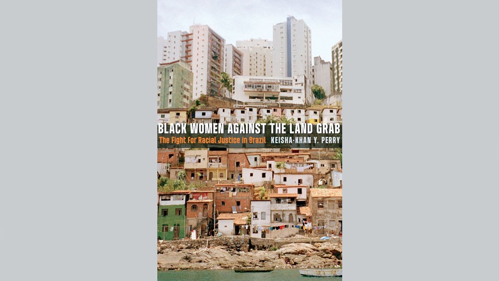 Black Women Against the Land Grab book cover